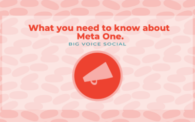 Meta One: What it is, what it means, what you need to do.